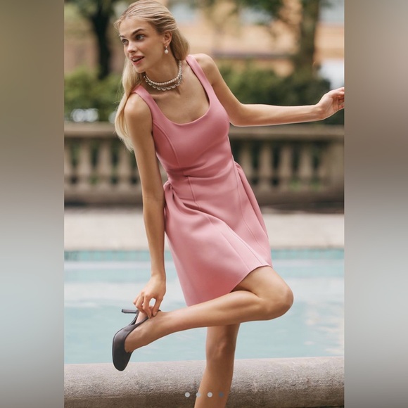 Maeve Dresses & Skirts - NWT Maeve Sleeveless Seamed Fit & Flare Mini Dress in Pink Drink Size M